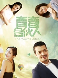 青春合伙人（2017）